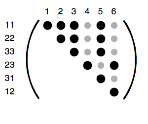Monoclinic rank 4 tensor diagram