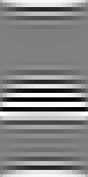 Domain pattern with fine structure