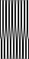 Domain pattern with fine structure