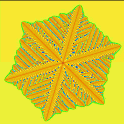 Six-fold symmetric dendrite array