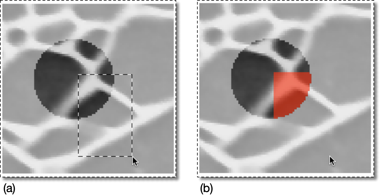 Active Area Examples