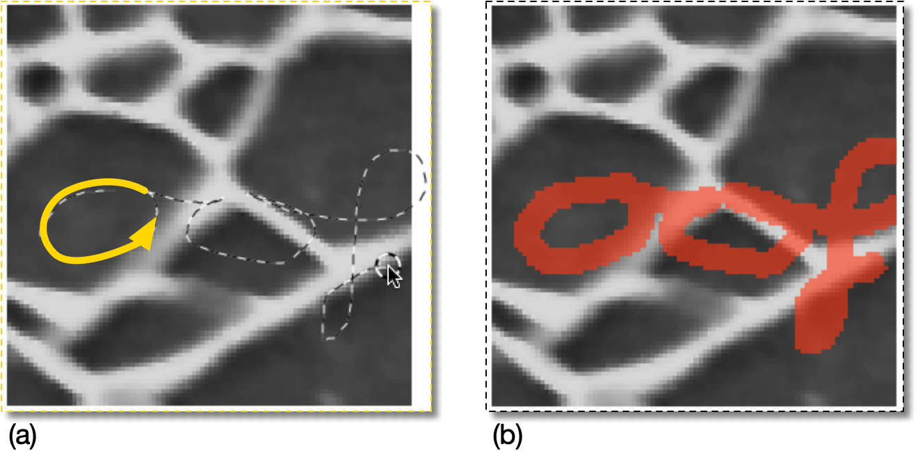 Selecting Pixels with the Brush