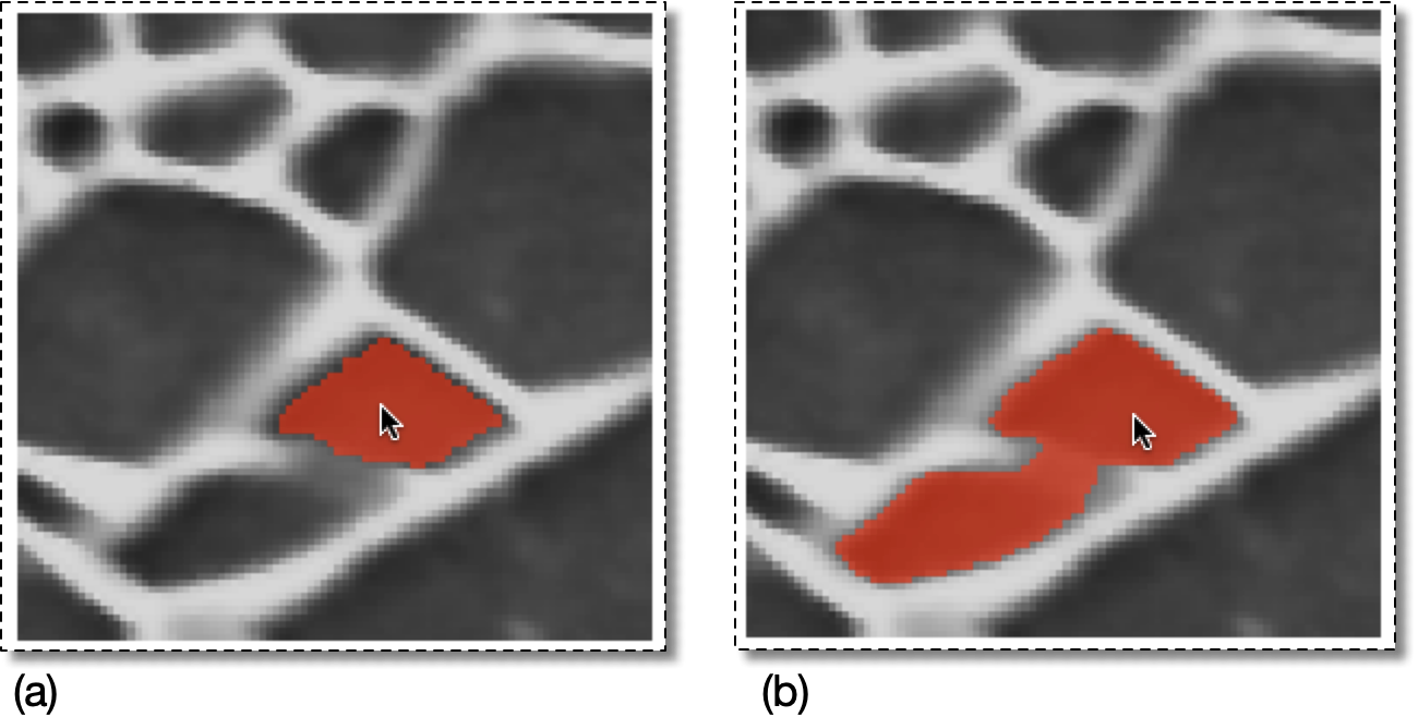 Selecting Pixels with the Burn Algorithm