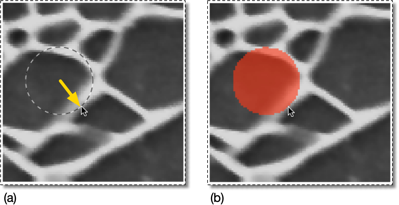 Selecting a Circular Region of Pixels