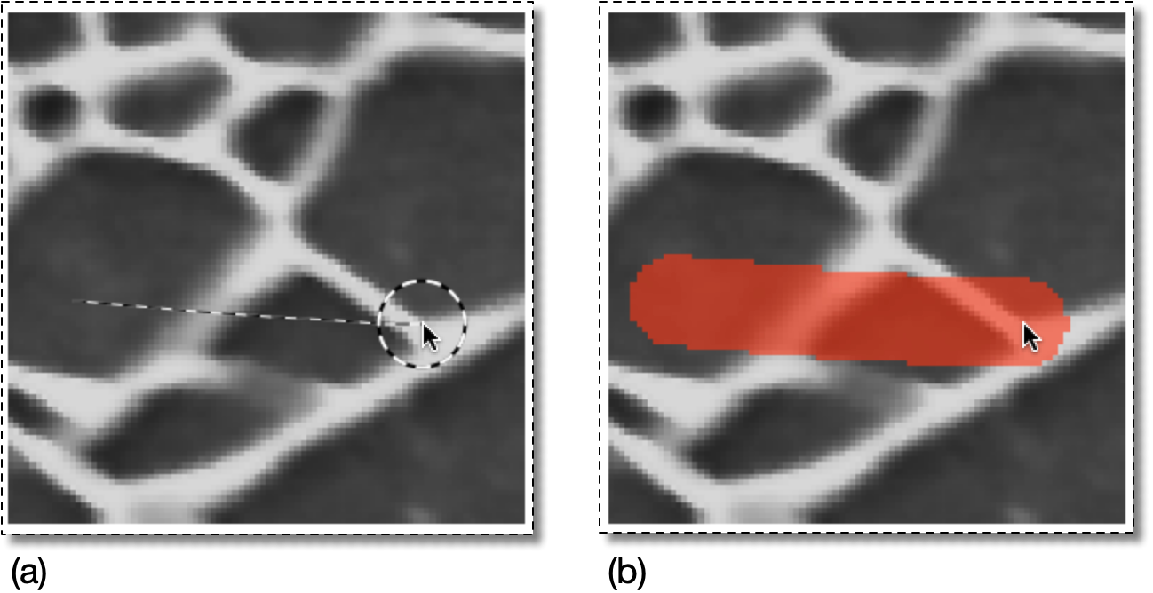Selection with a Circular Brush
