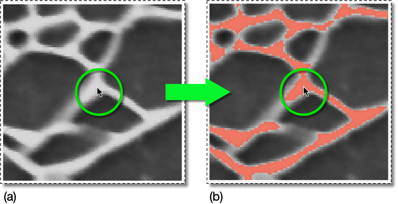 Selecting Pixels by Color