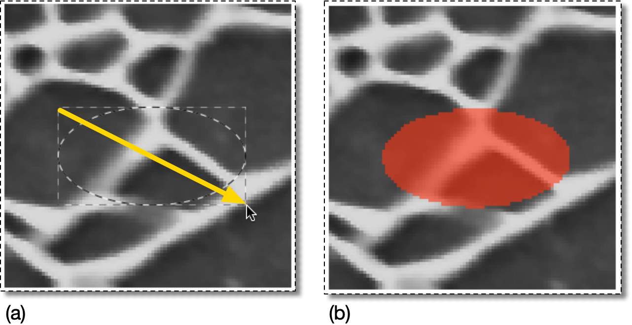 Selecting a Elliptical Region of Pixels