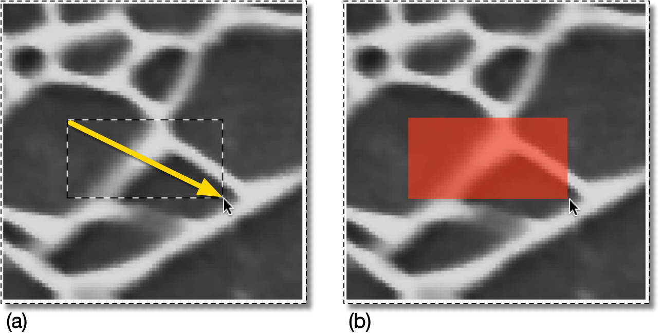 Selecting a Rectangular Region of Pixels