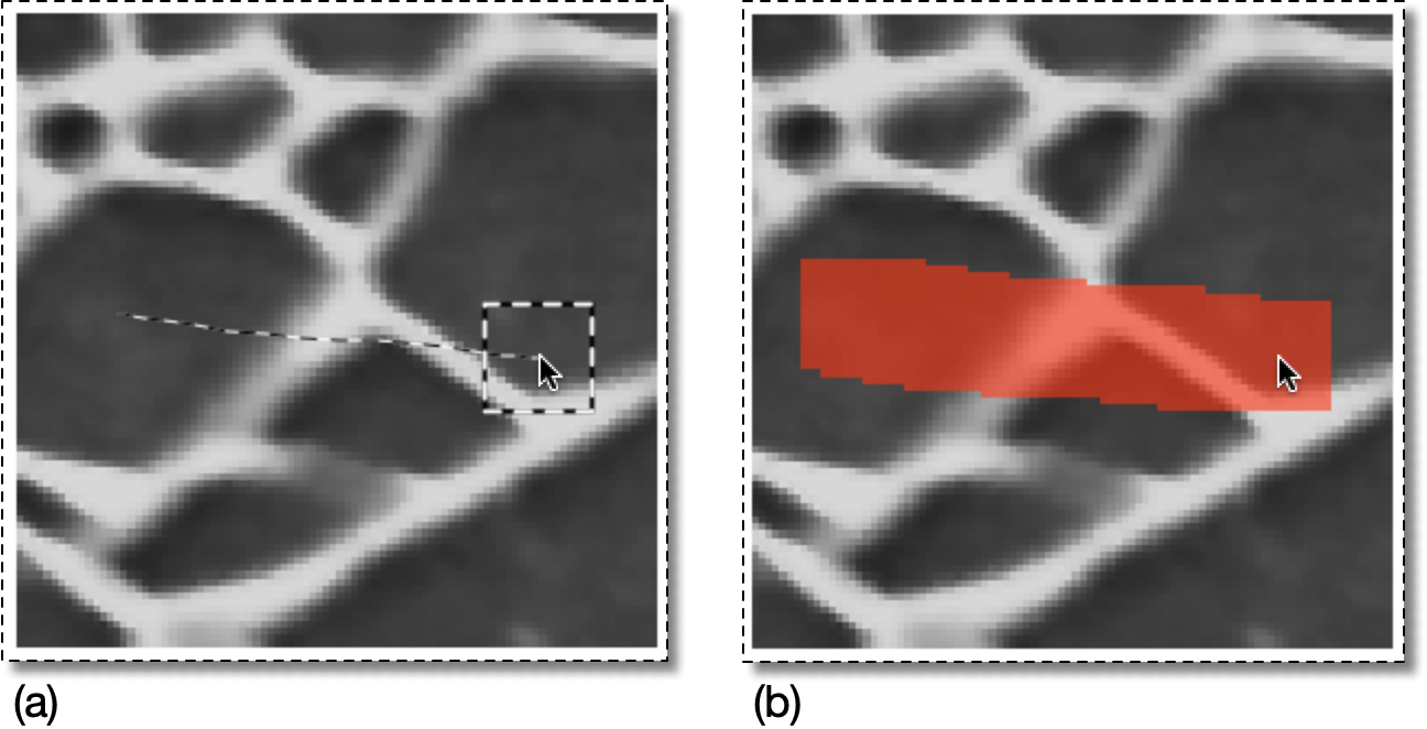 Selection with a Square Brush