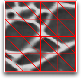 Initial Skeleton Geometries