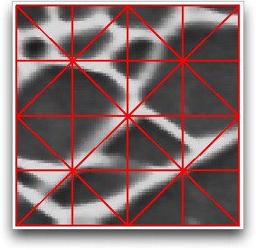 Initial Skeleton Geometries