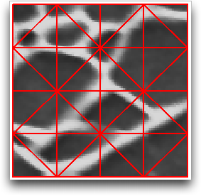 Initial Skeleton Geometries