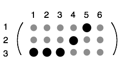 Structure of a C2v Third Rank Tensor