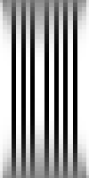 Domain pattern with fine structure